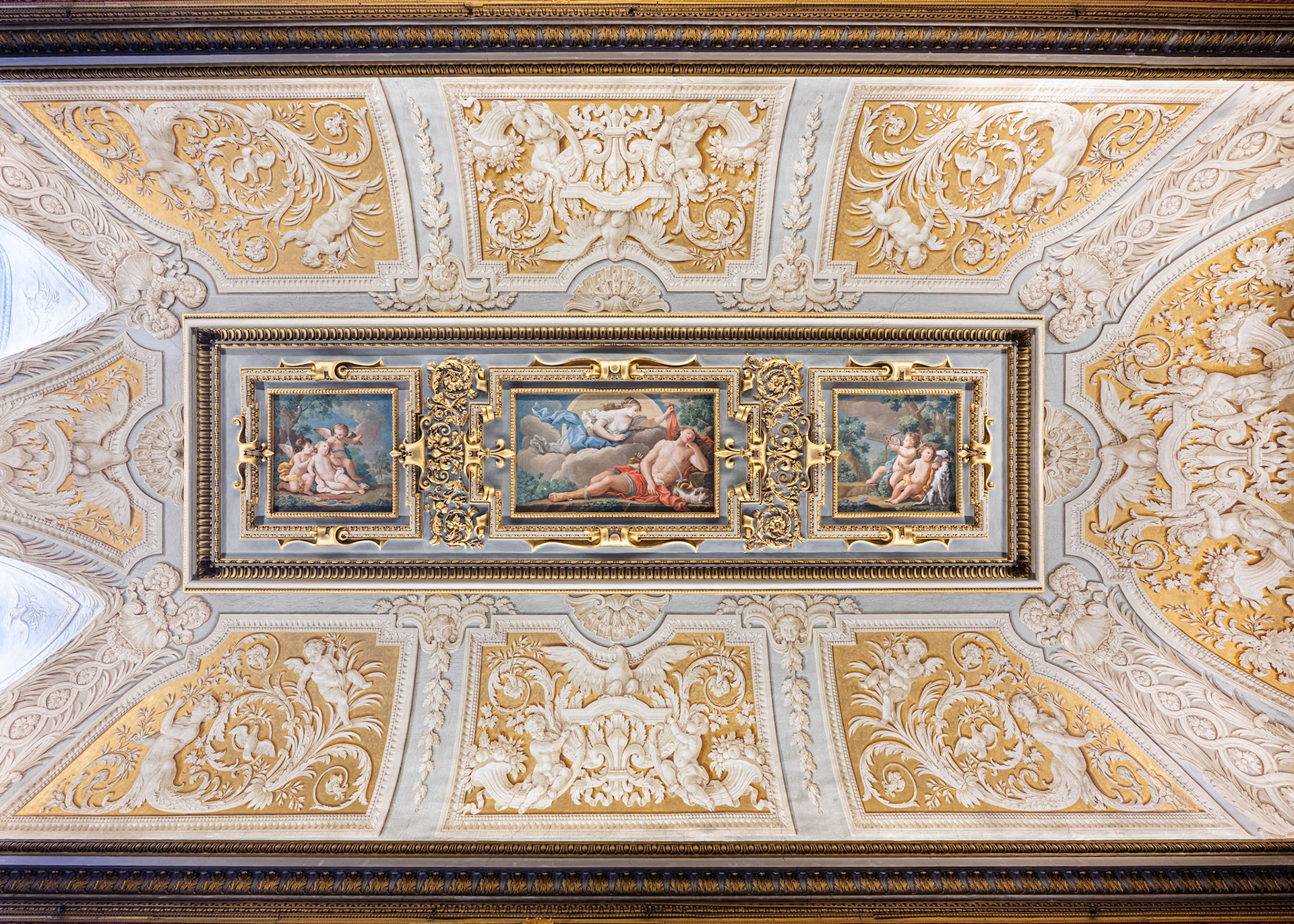 ceiling of the Velvet Room - painted by Liborio Marmorelli