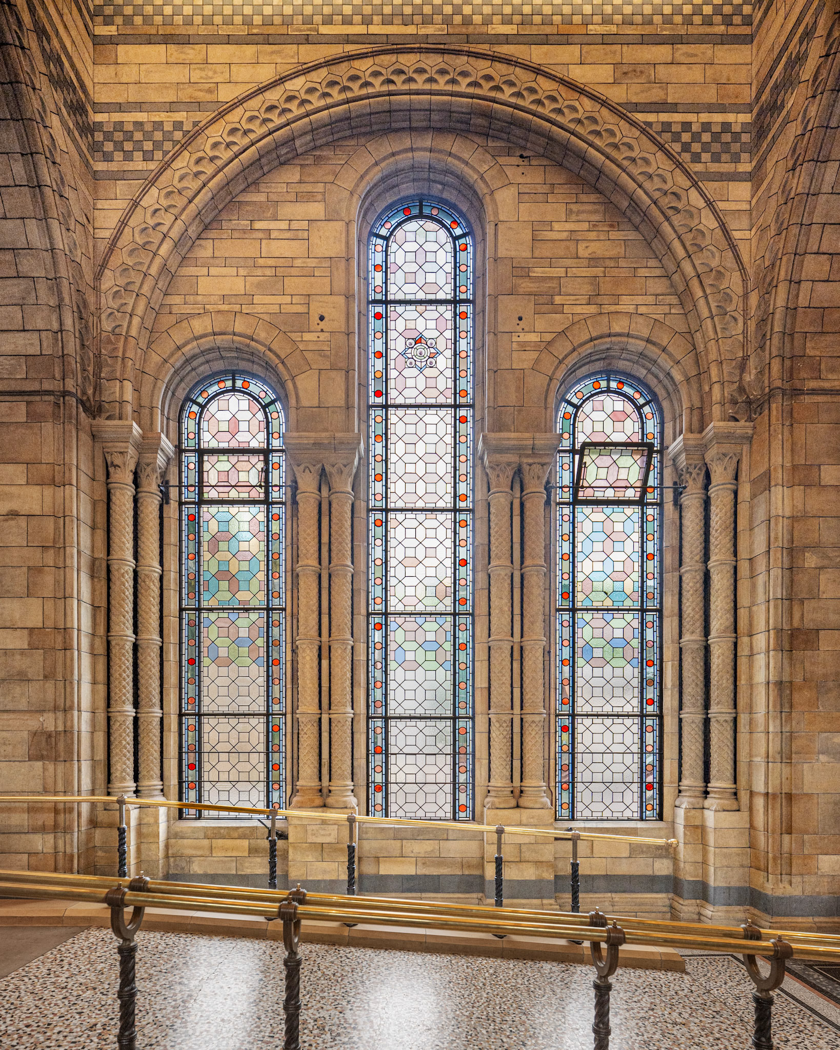 stained glass windows at the Natural History Museum