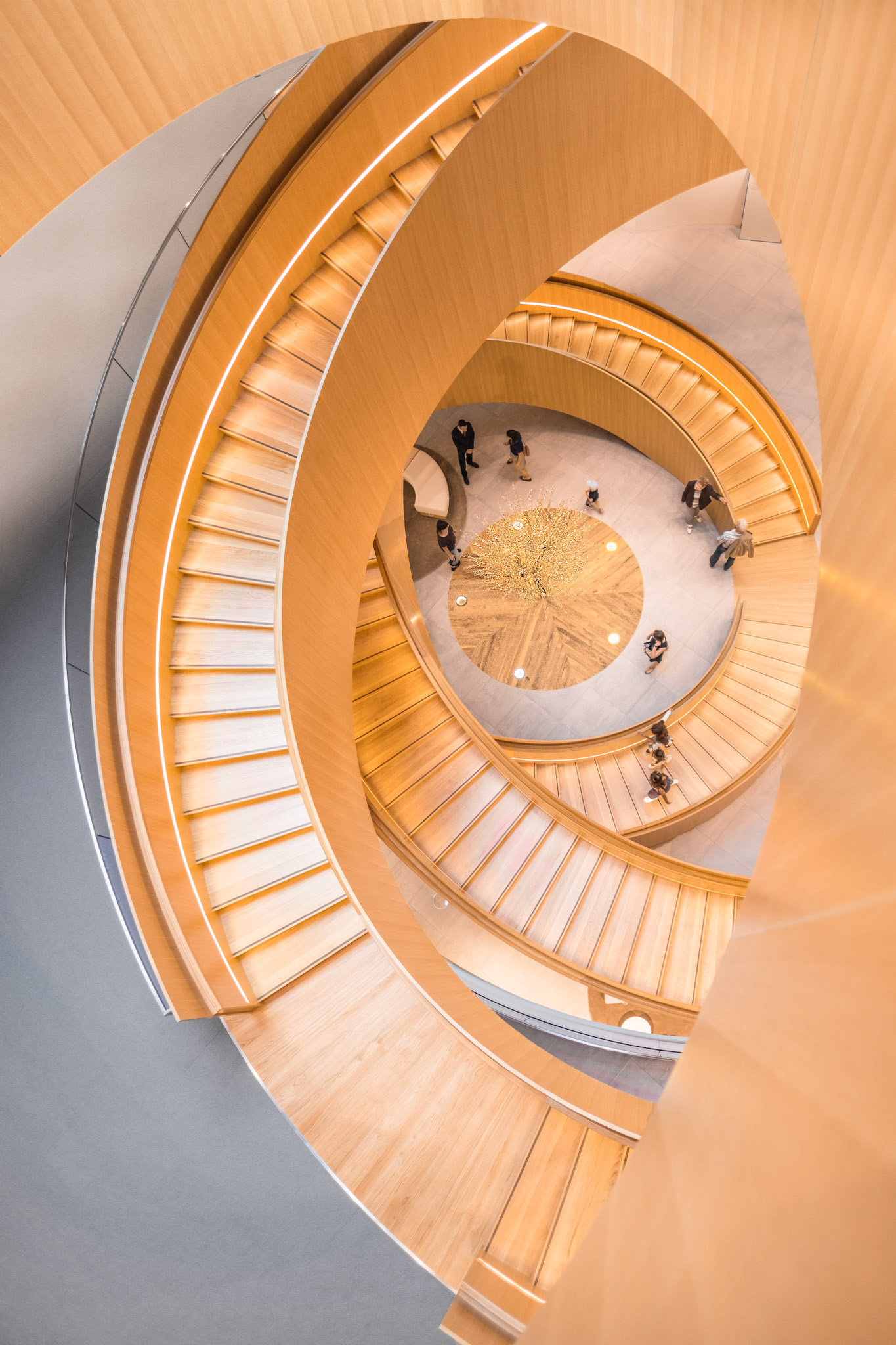 the unity staircase is composed of 5 rings