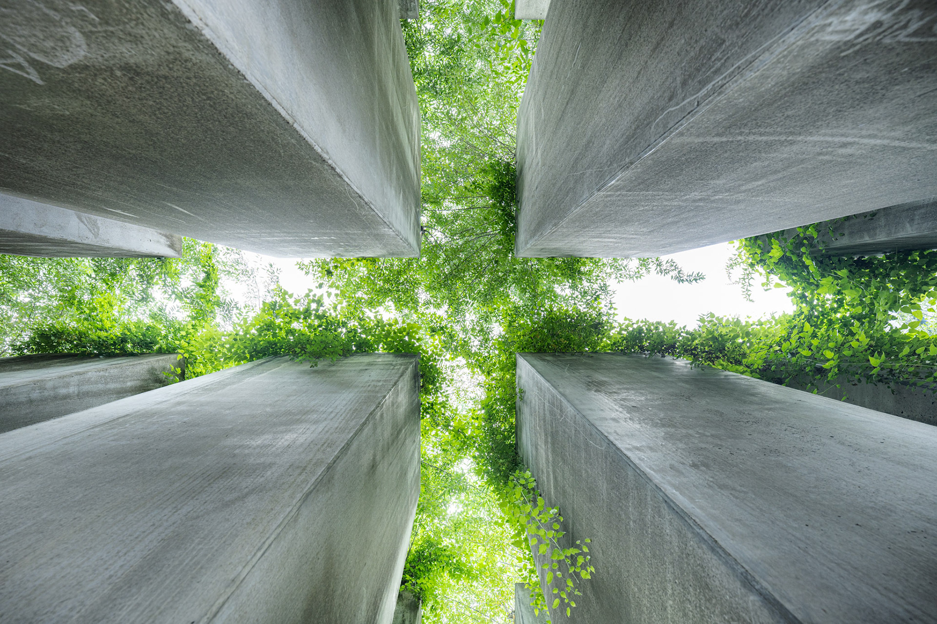 Garden of Exile