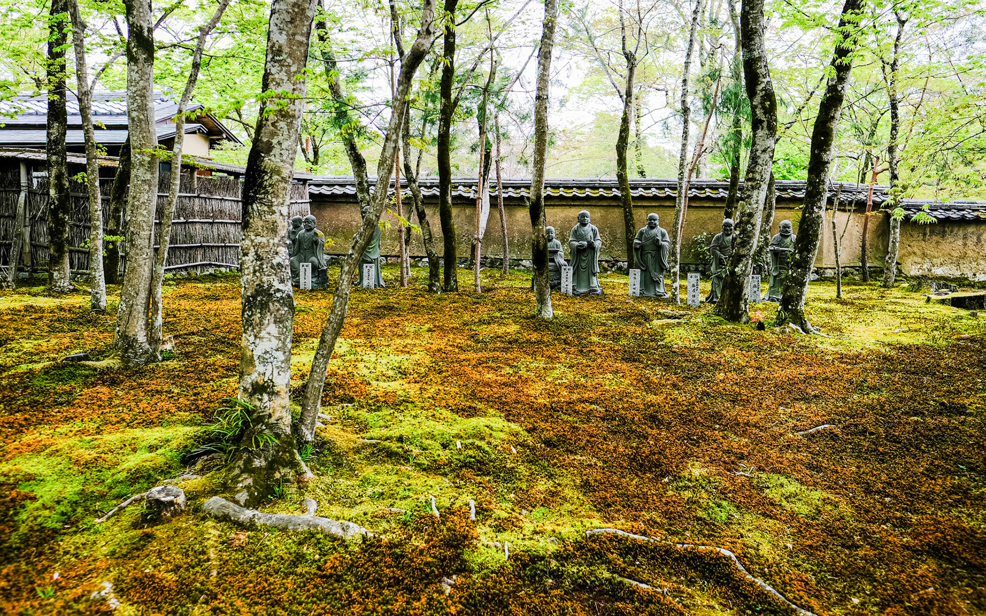 Tenryu-ji