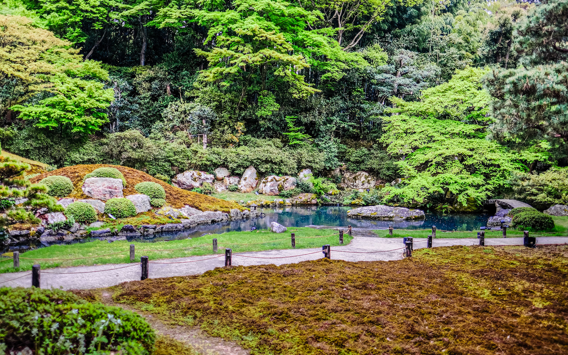 Saomi garden at Shoren-in