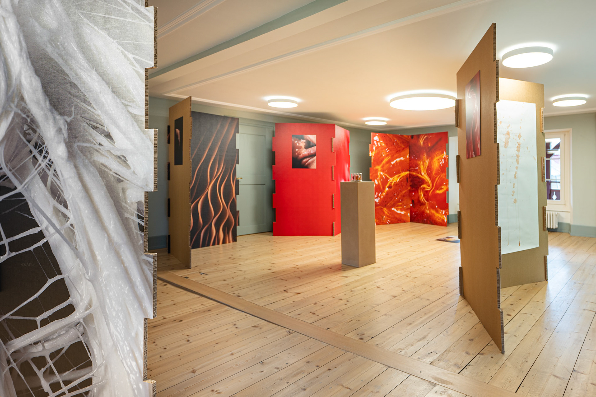 Maria Giovanna Giugliano: Ordinary Pleasures