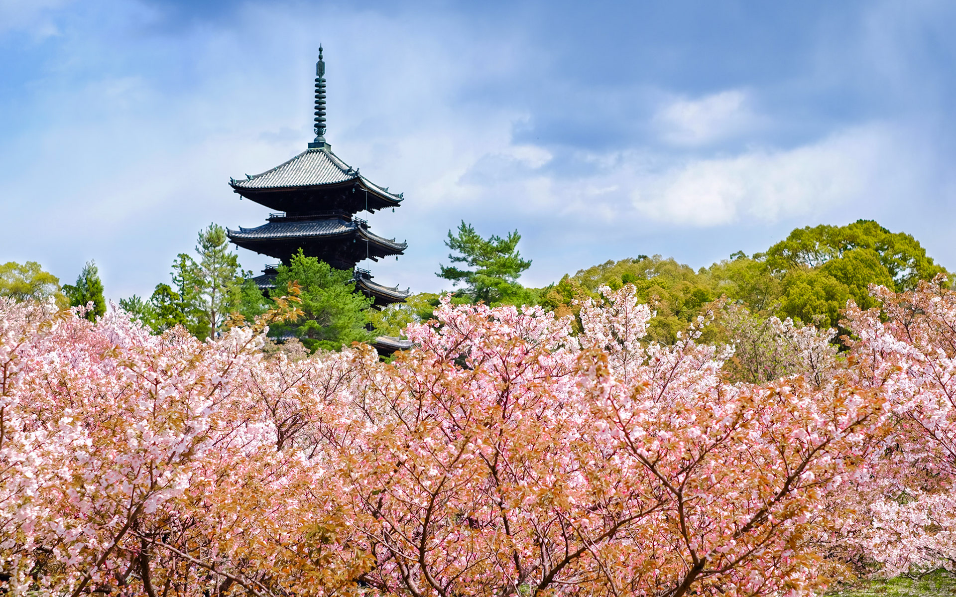 Ninnaji