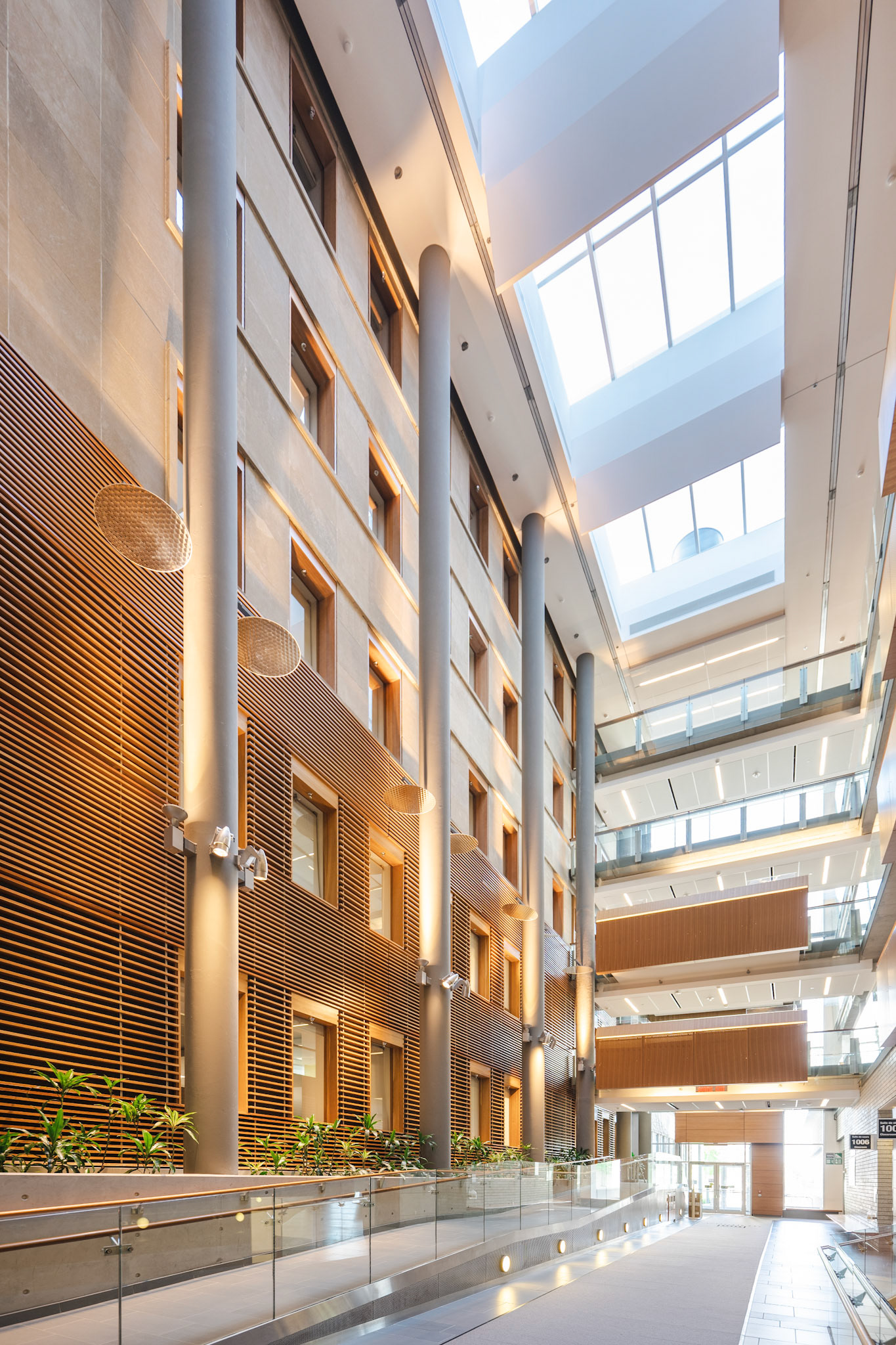 Faculty of Social Sciences - atrium