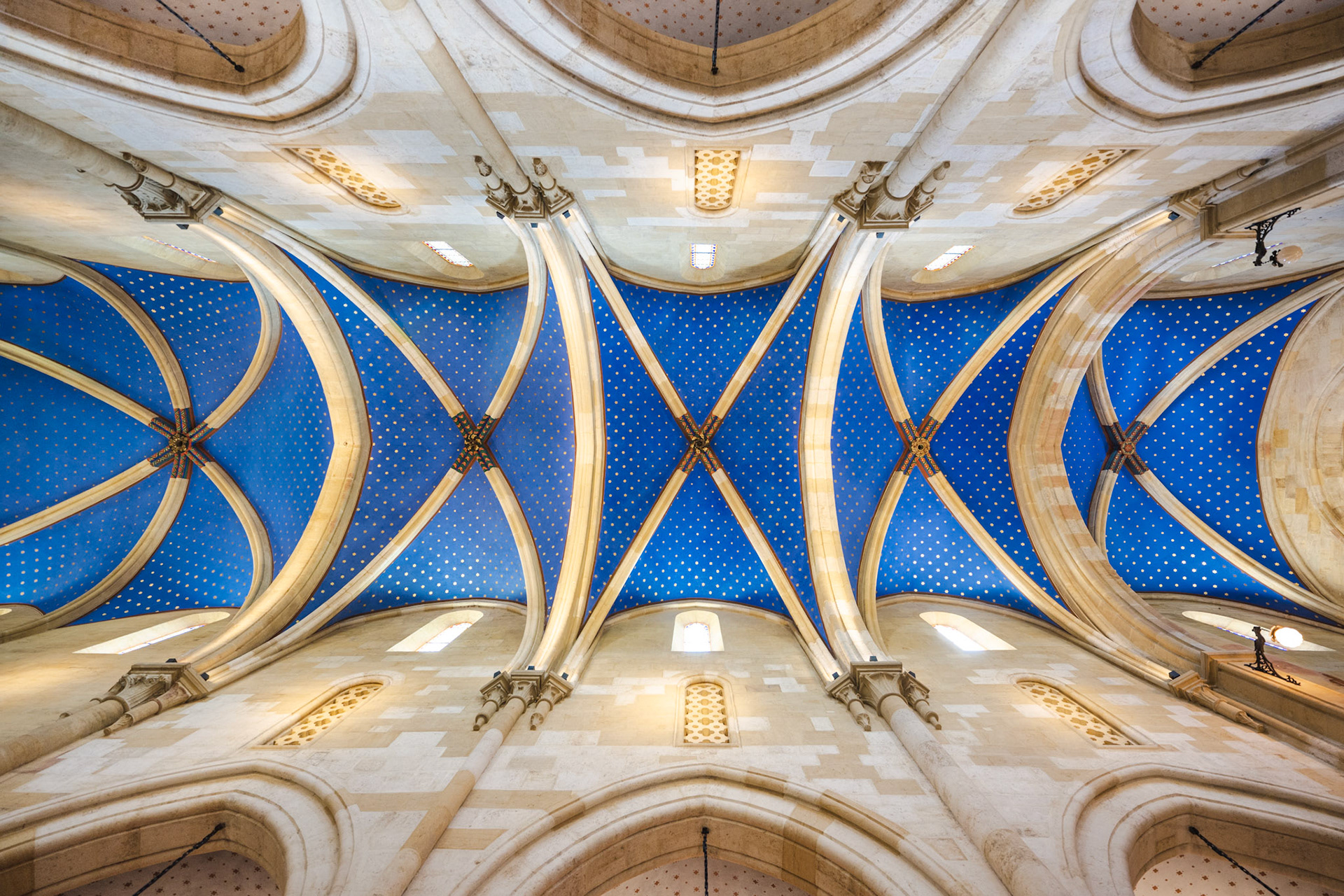 Collégiale de Neuchâtel - ceiling