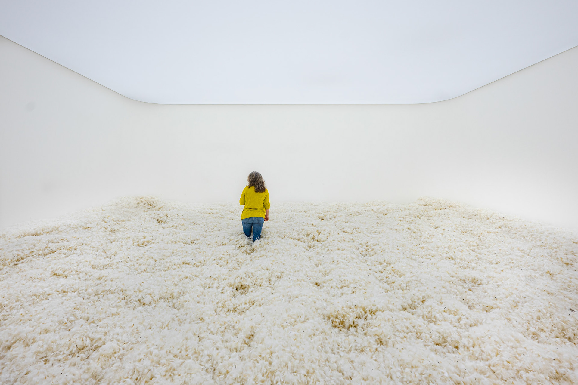 Feather Room, Judy Chicago, 1966