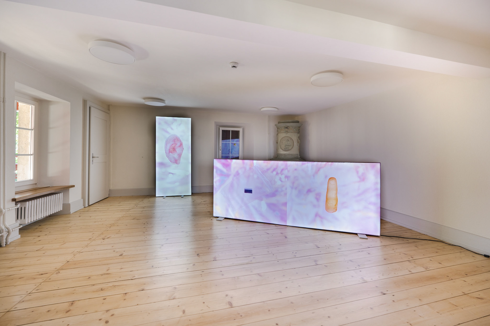 Schloss Lenzburg - Catherine Leutenegger: New Artificiality