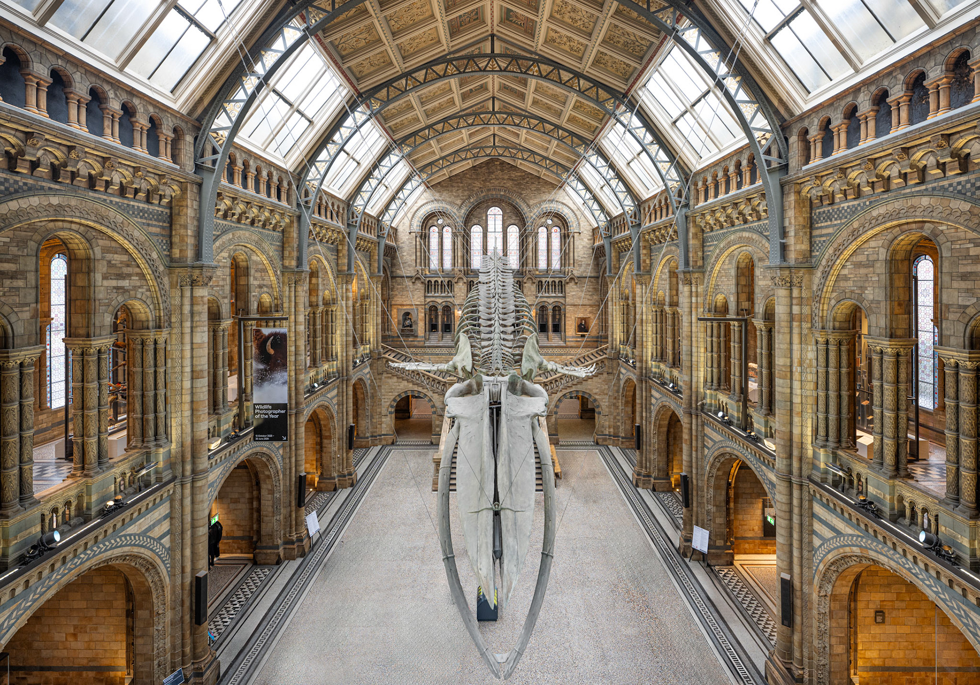 Hintze Hall with the blue whale skeleton, named Hope