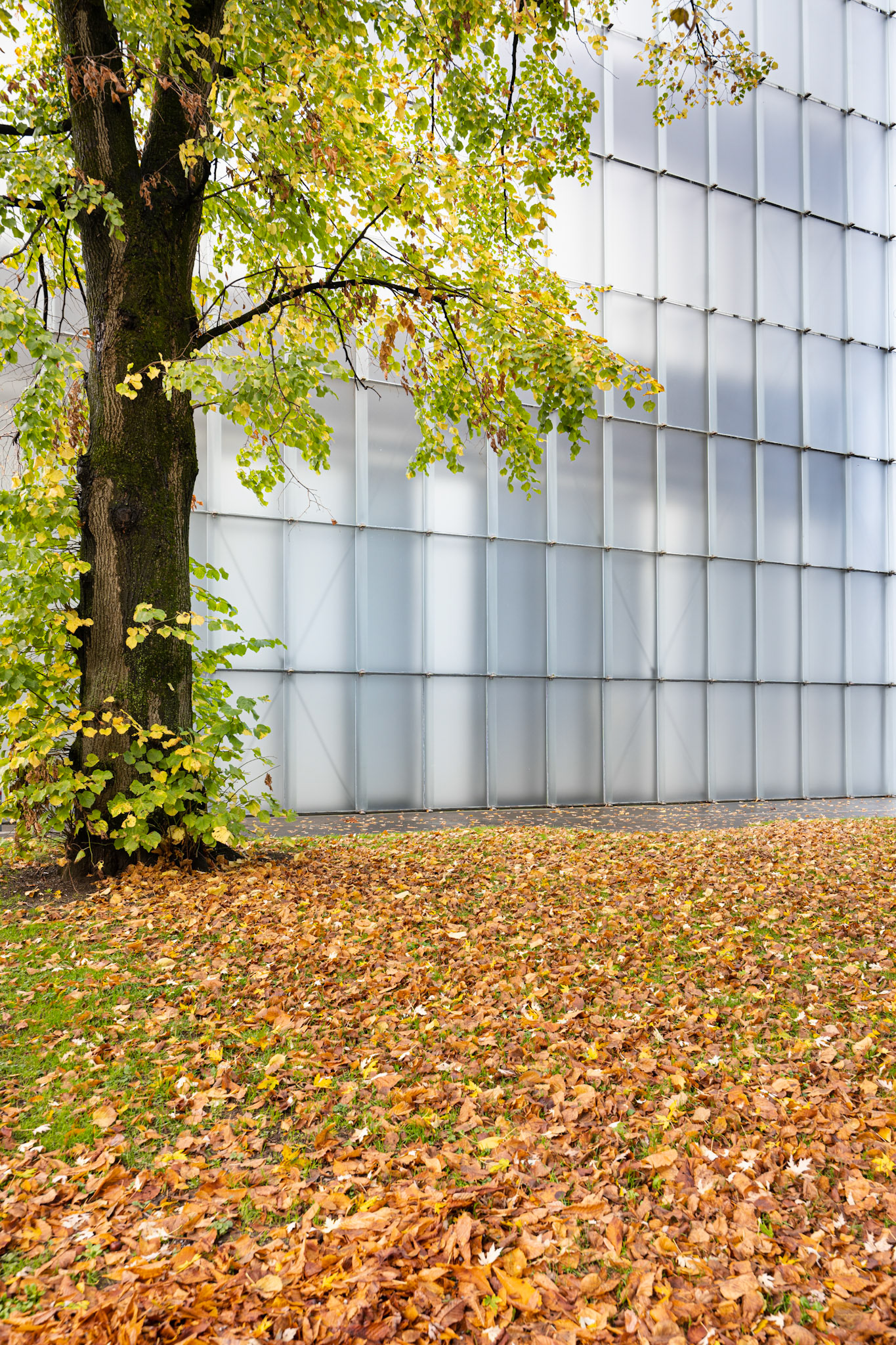 Kunsthaus Bregenz in fall