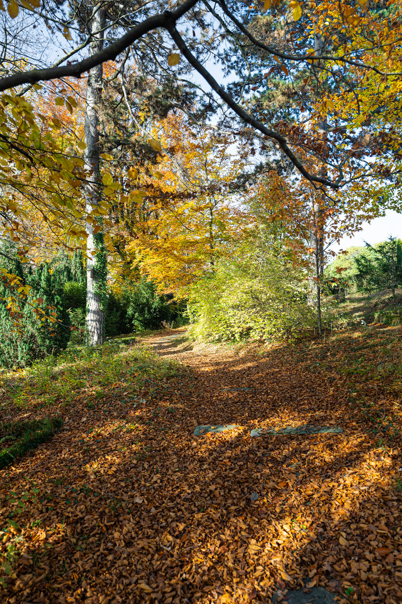 Cimetière du Bois-de-Vaux in fall