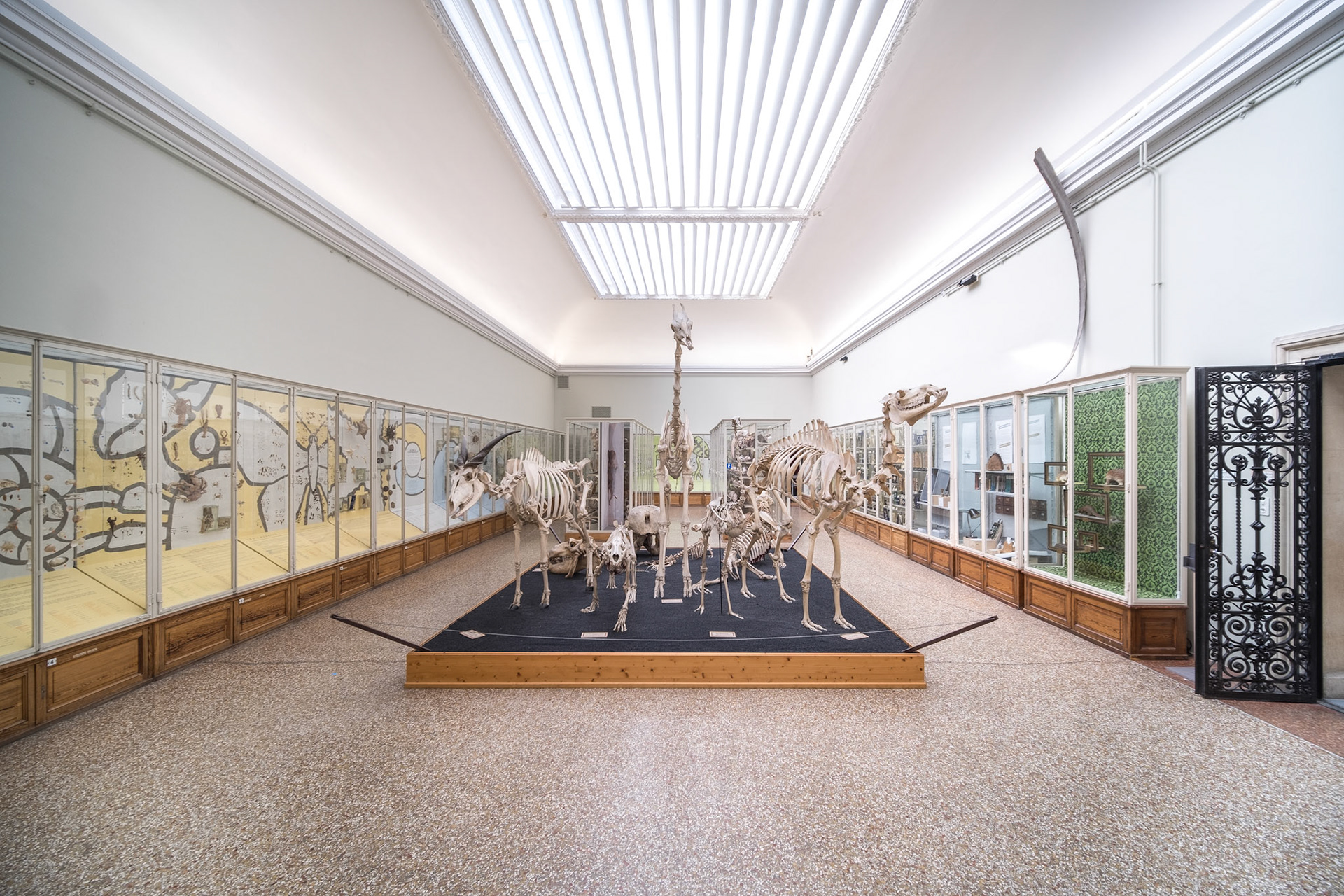 Musée cantonal de zoologie