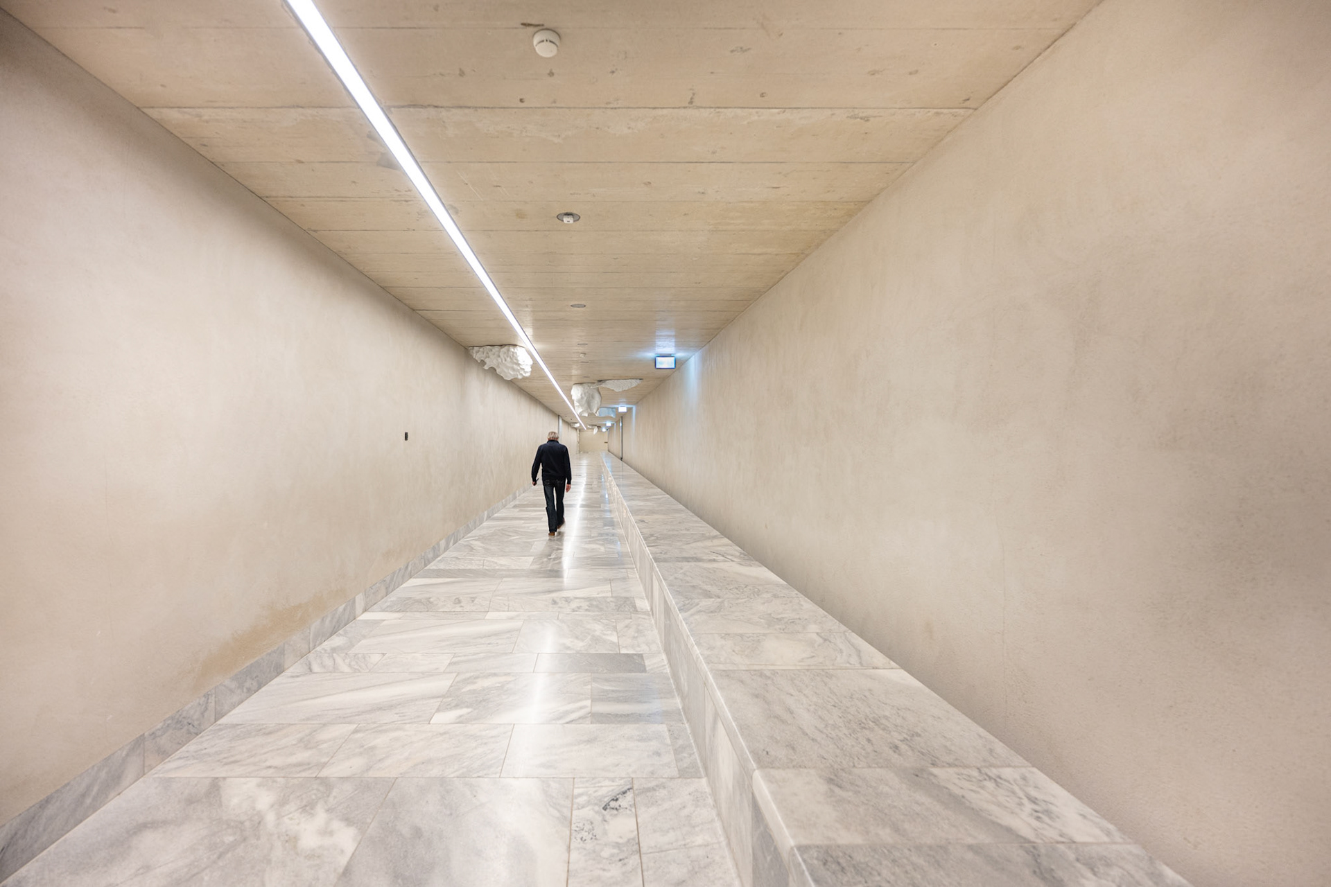 tunnel to the Moser-building