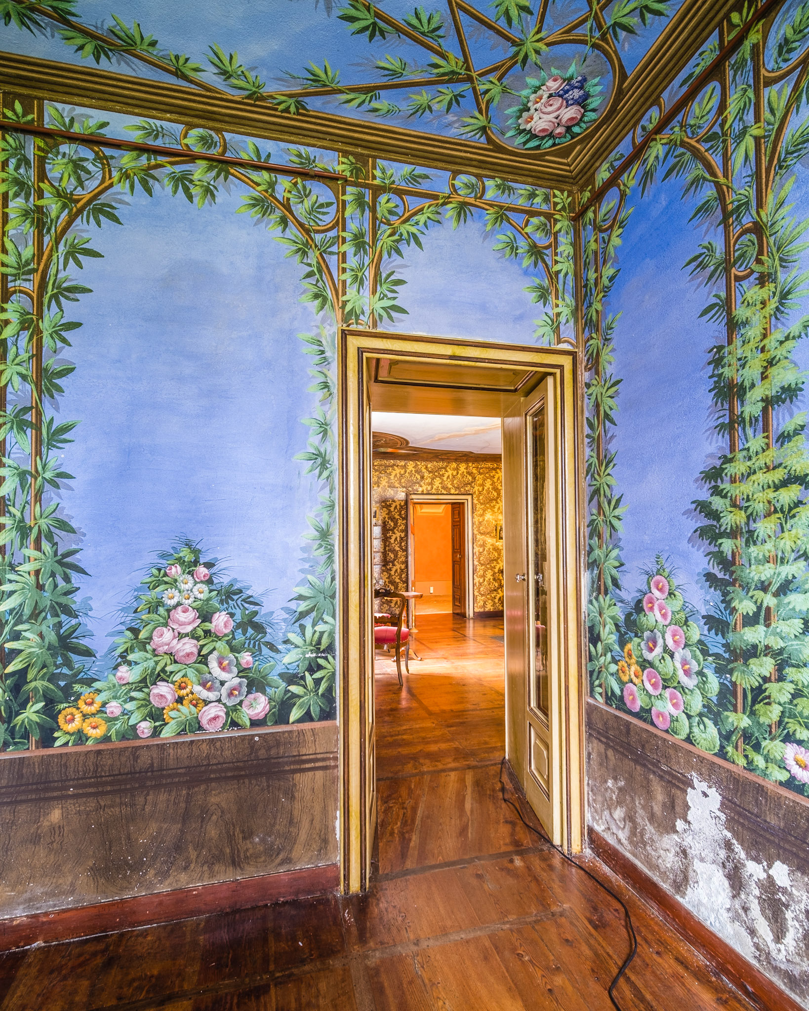 trompe-l'oeil painting of a pergola with climbing plants and flowers