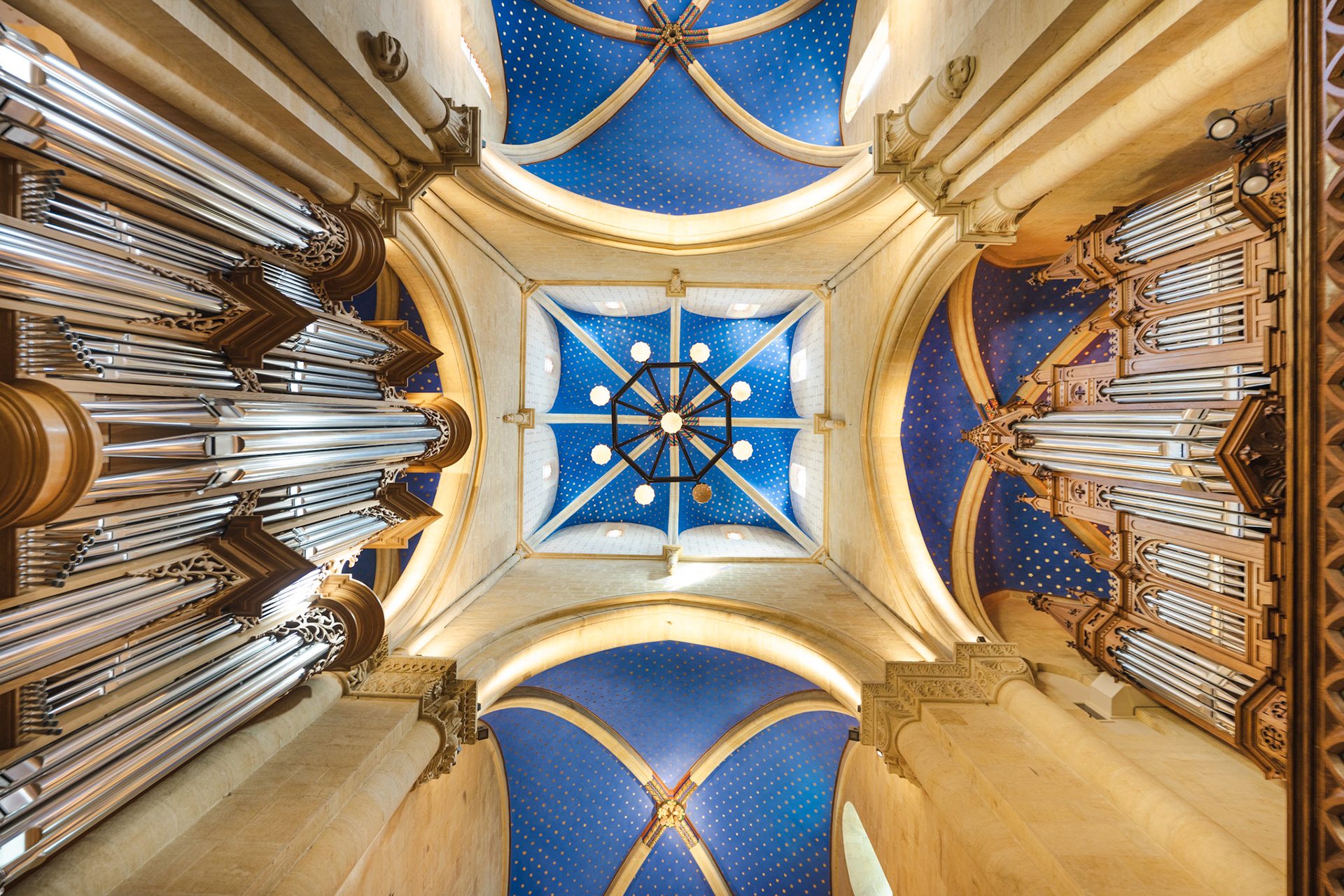 Collégiale de Neuchâtel - organs