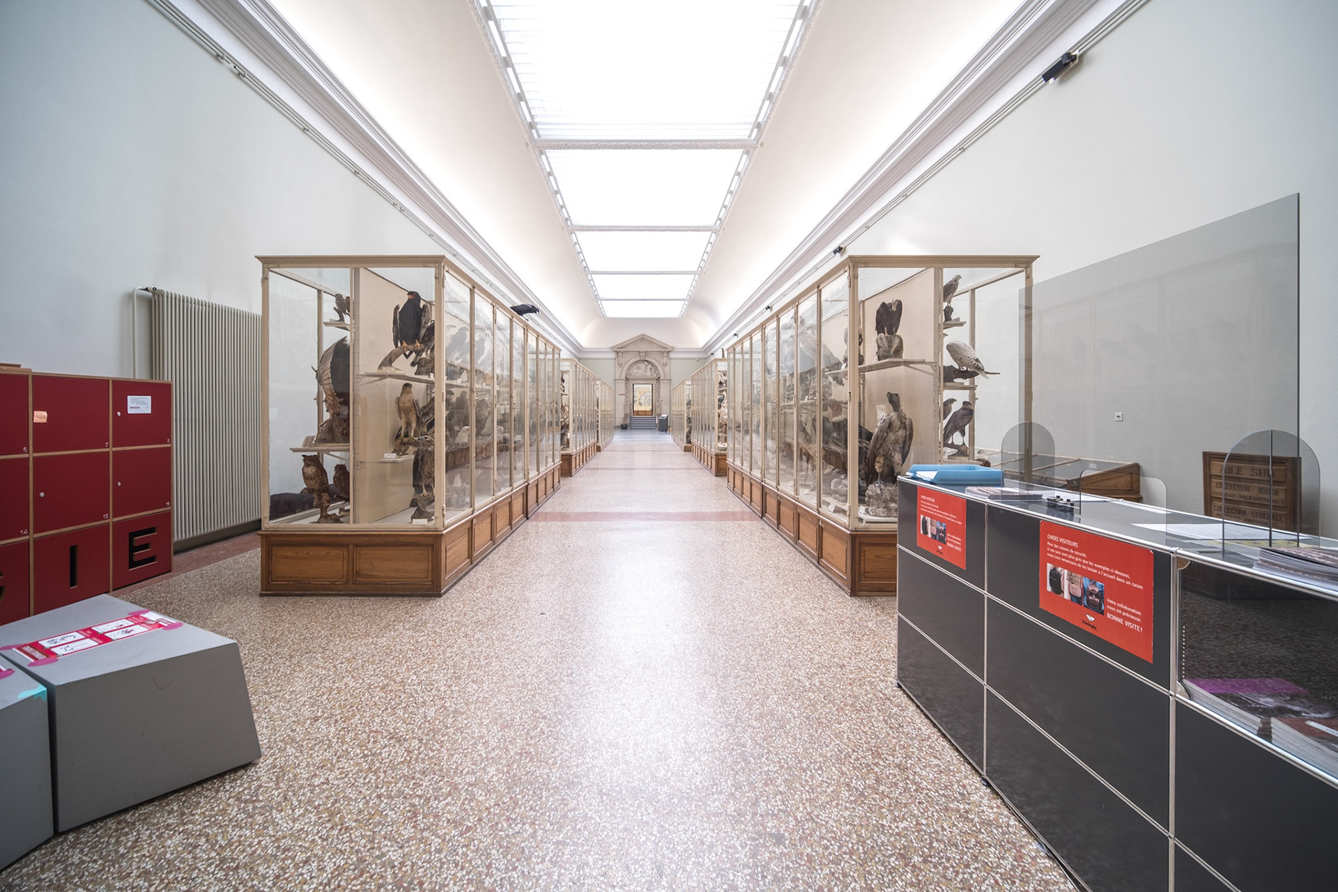 Musée cantonal de zoologie - entrance