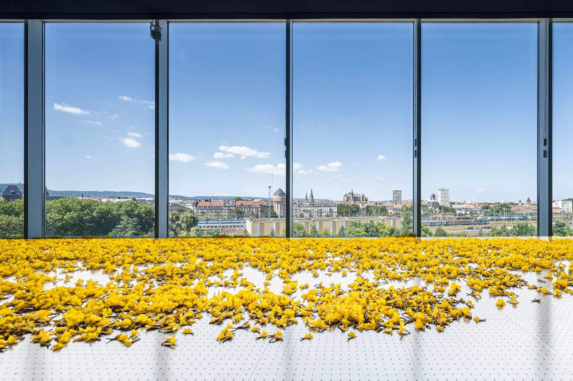 windows offering views of the Metz cityscape