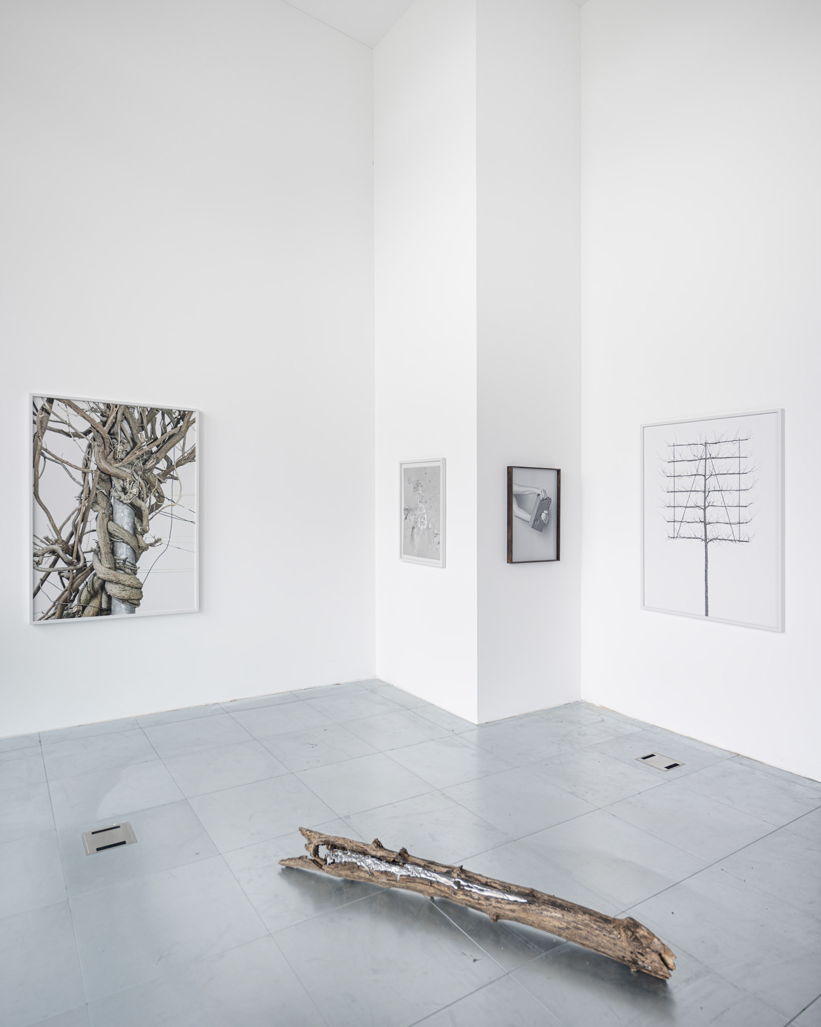 Marta Zgierska: Tomorrow crumbles in hands