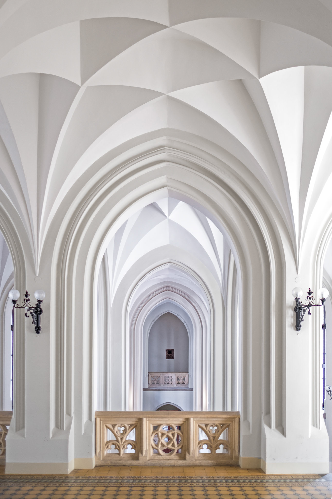 Collegium Novum