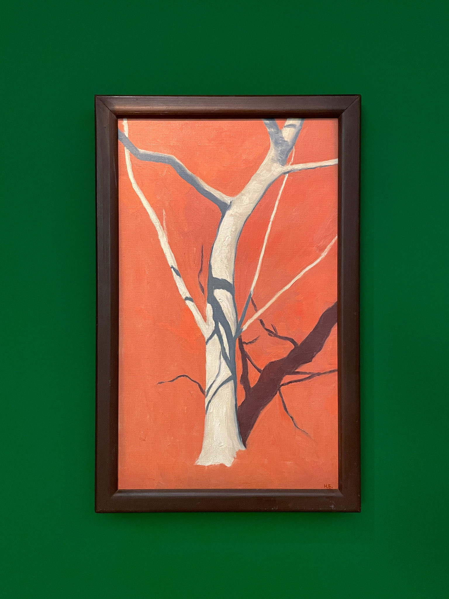 Fig Tree In Front Of Red Soil, Hans Emmenegger, 1911
