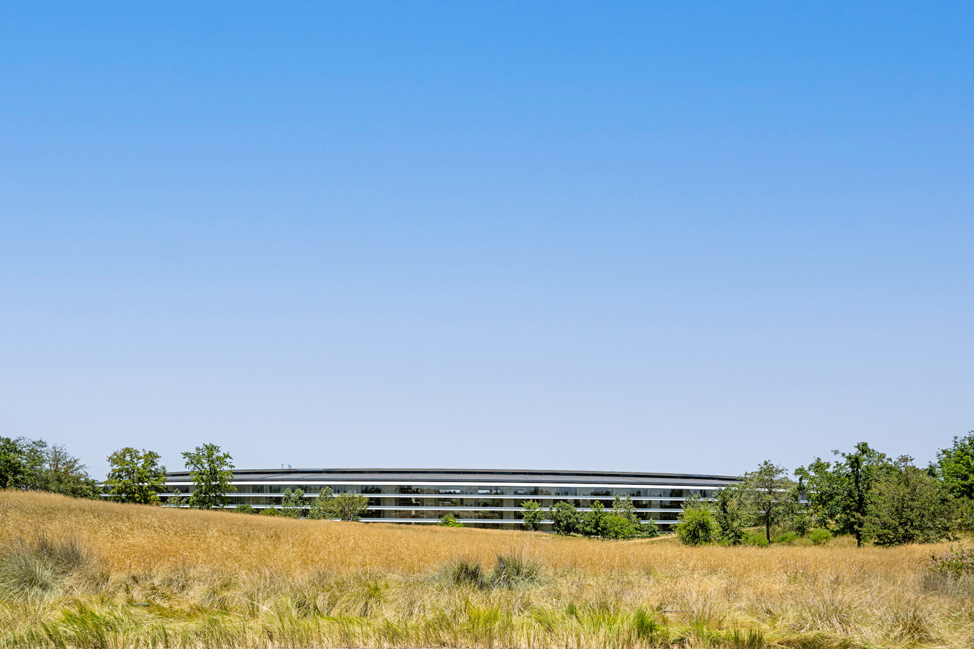 Apple Park