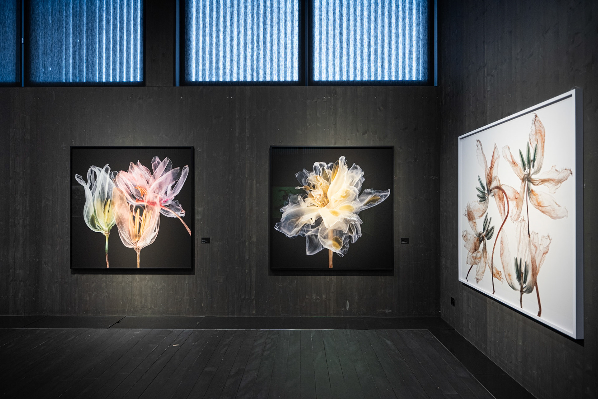 Kathrin Linkersdorff: Microverses