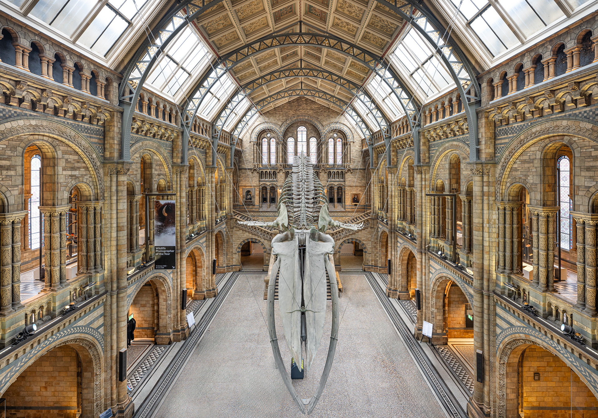 Neo-Romanesque - Natural History Museum, London