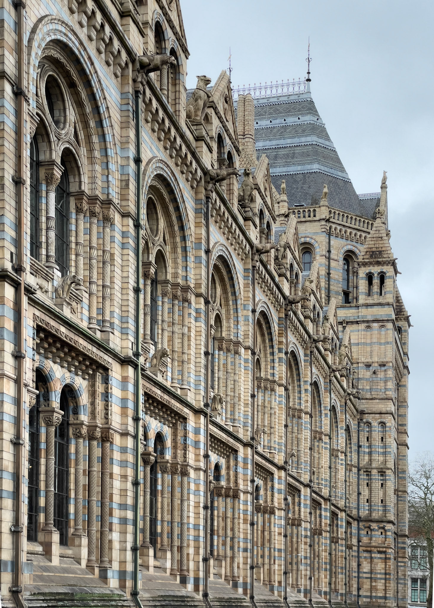 windows of the Natural History Museum with round arches
