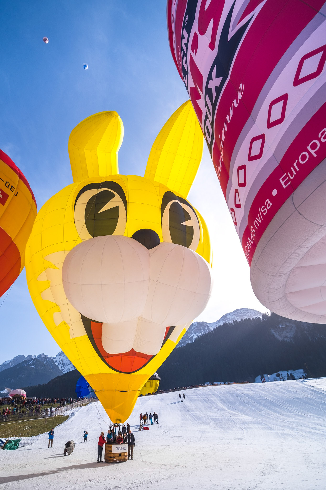 balloon by Bart & Guy Geeraerts
