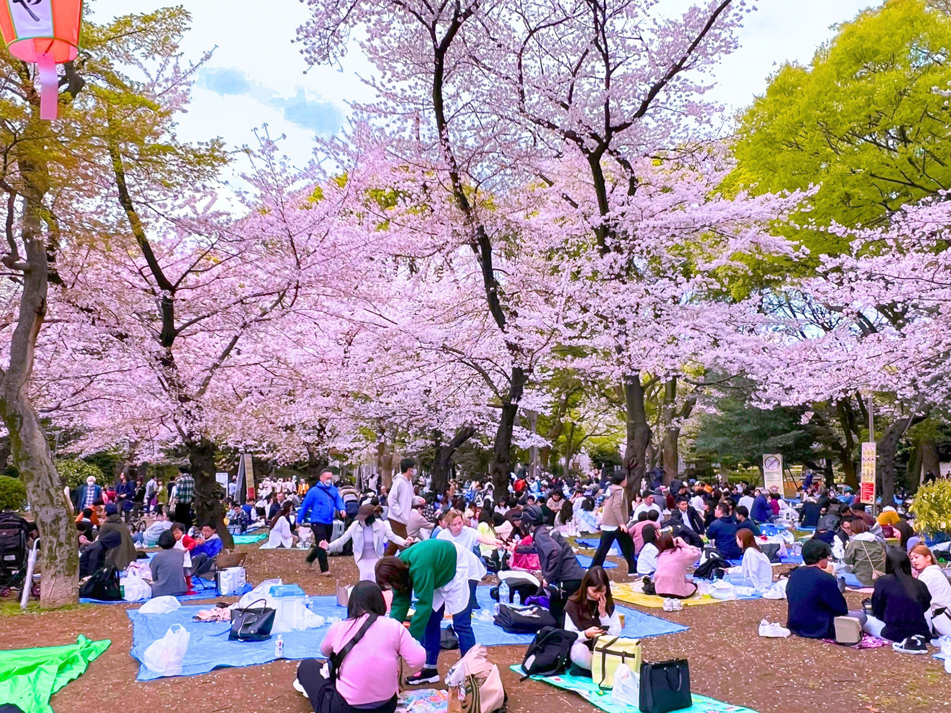 Ueno Park ( 40 x 30 cm ) - 1
