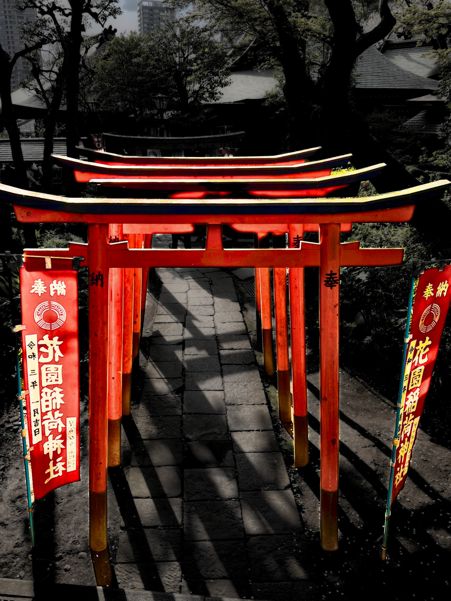 Torii, Japanese spirit - 1