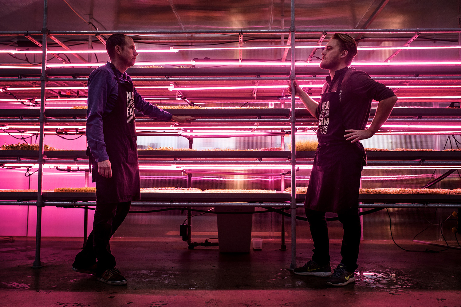 Start-uppen Nabo Farm laver vertikalt landbrug i byen