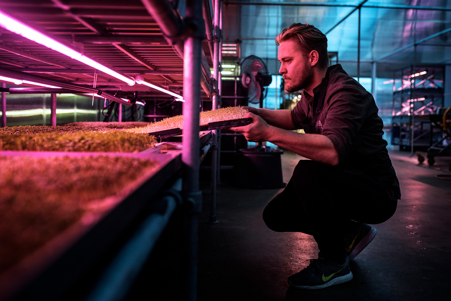 Jens Kroghede fra start-uppen Nabo Farm. Nabo Farm laver vertikalt landbrug i byen