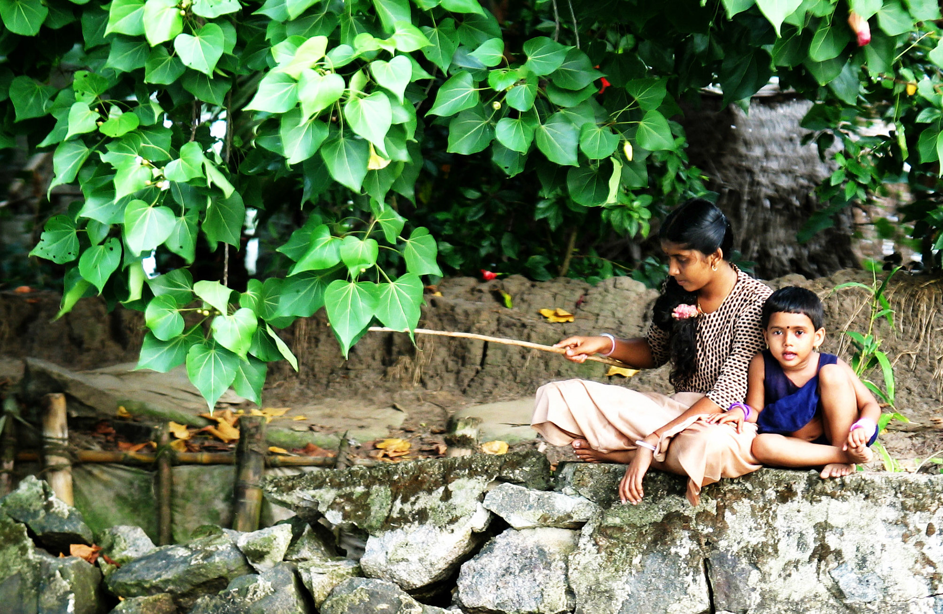 The backwaters - Kerala - India