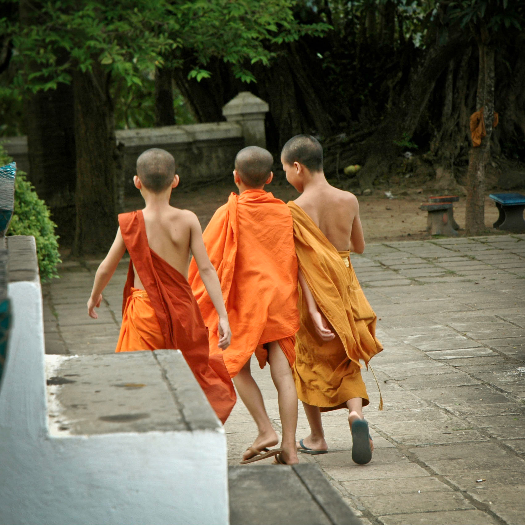 Novice monks after 6pm prayers - Wat Xieng Thong - Louand Prabang - Laos