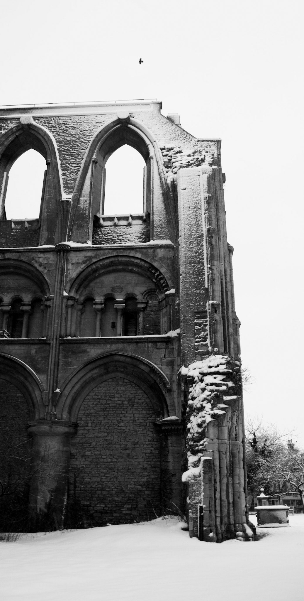 Malmesbury Abbey - Winter 2008 - UK