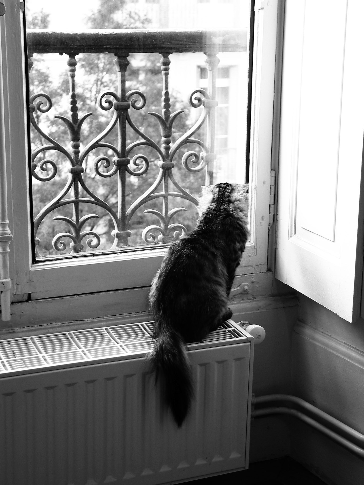 Chloe - Grenoble - France