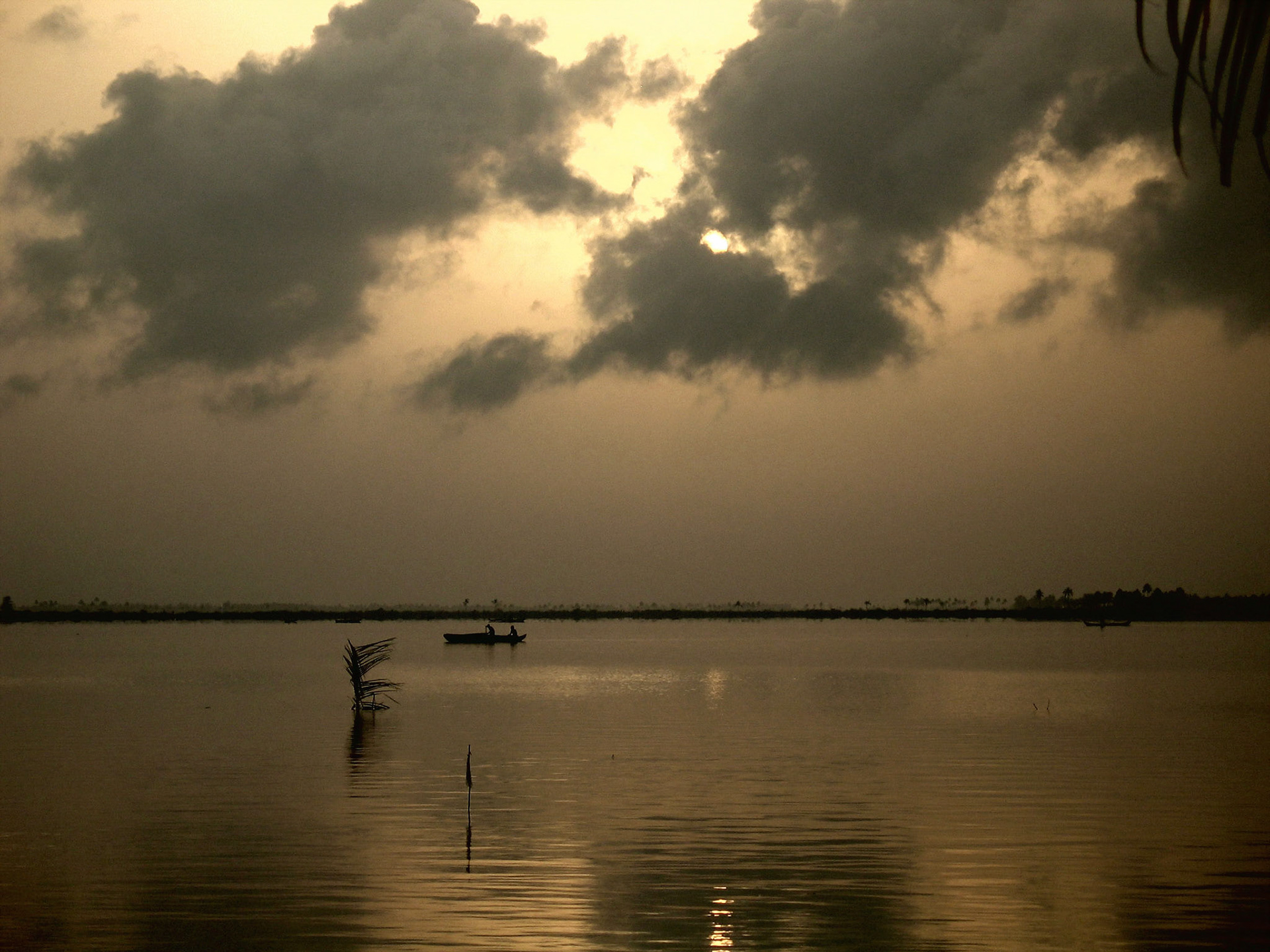 Morning on the backwaters - Kerala - India