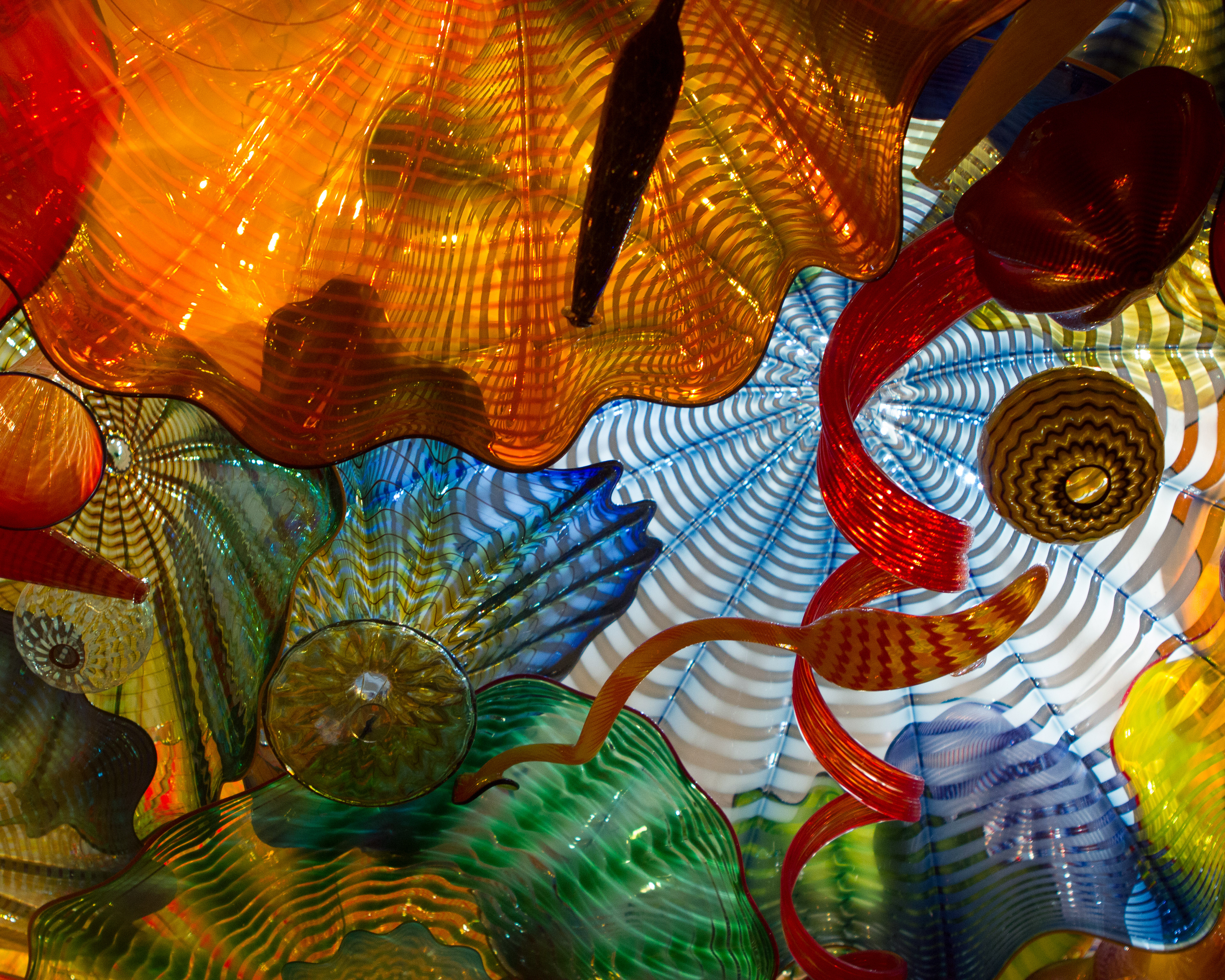 Dale Chihuly Glass