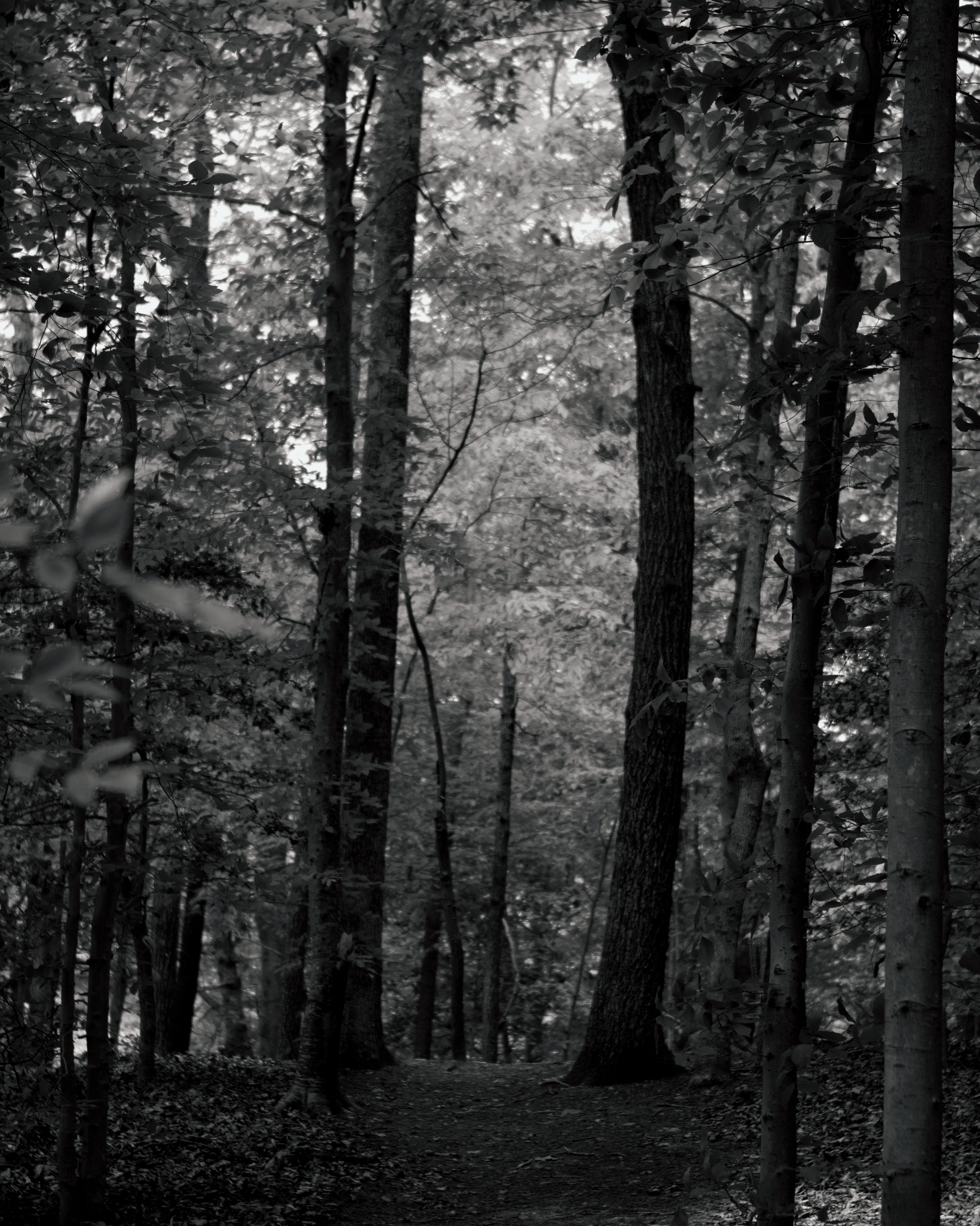 Waller Mill Park