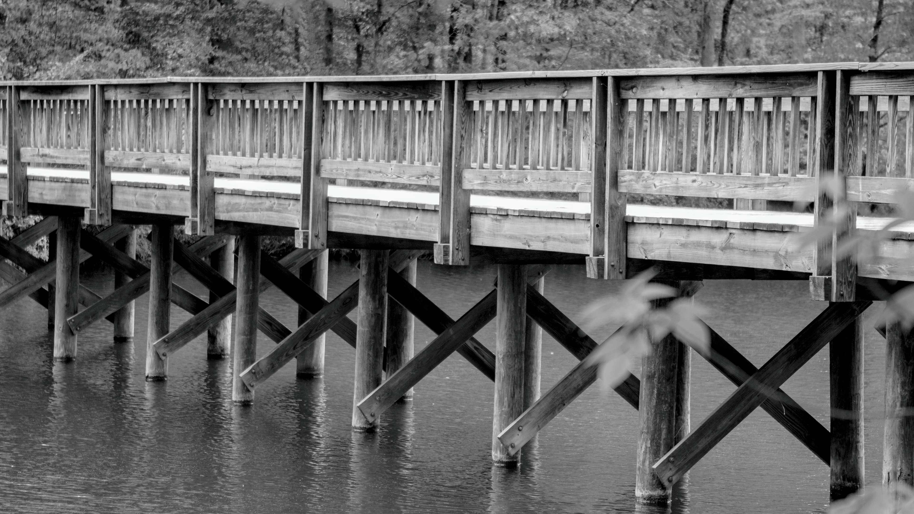 Waller Mill Park