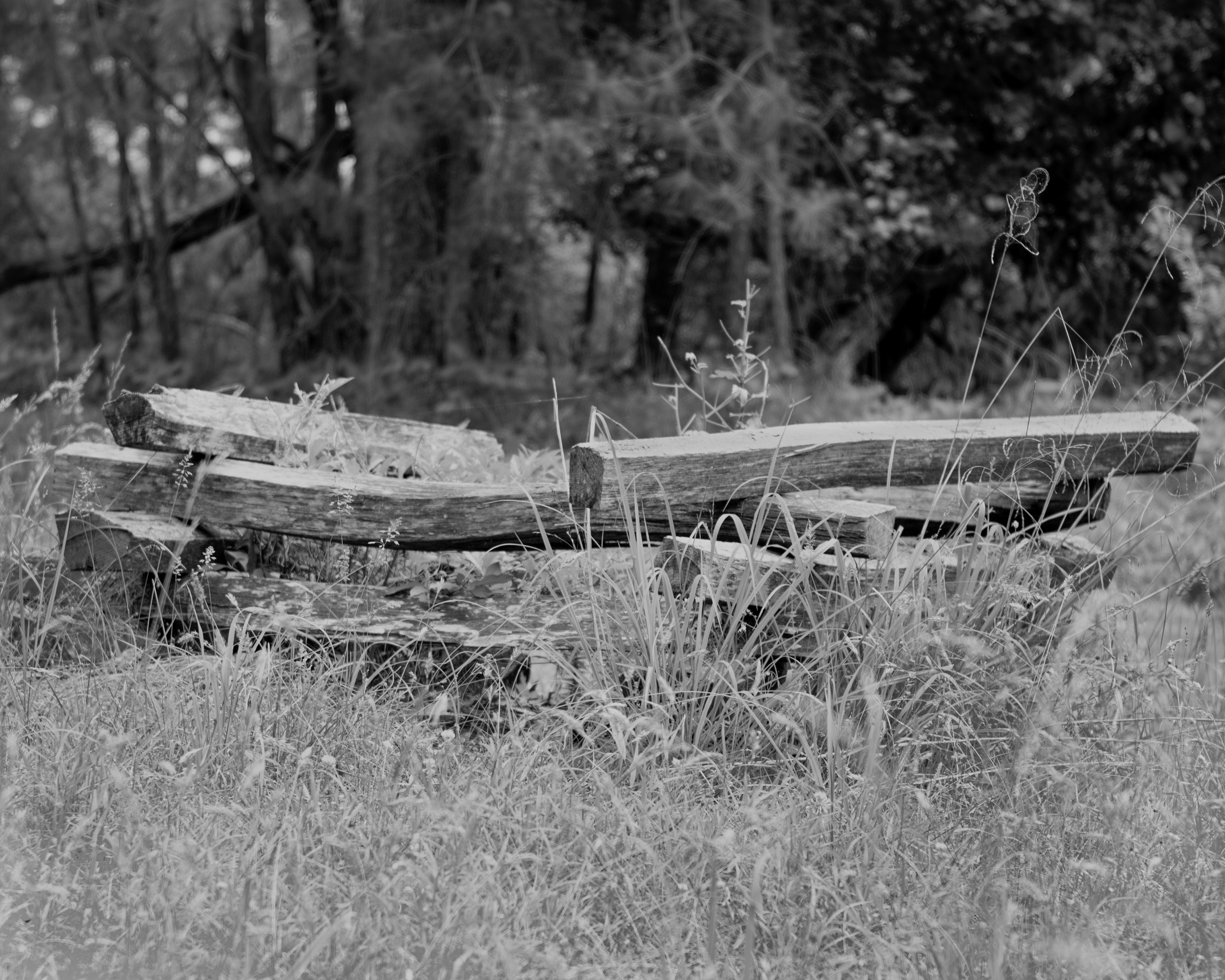 Jamestown Island