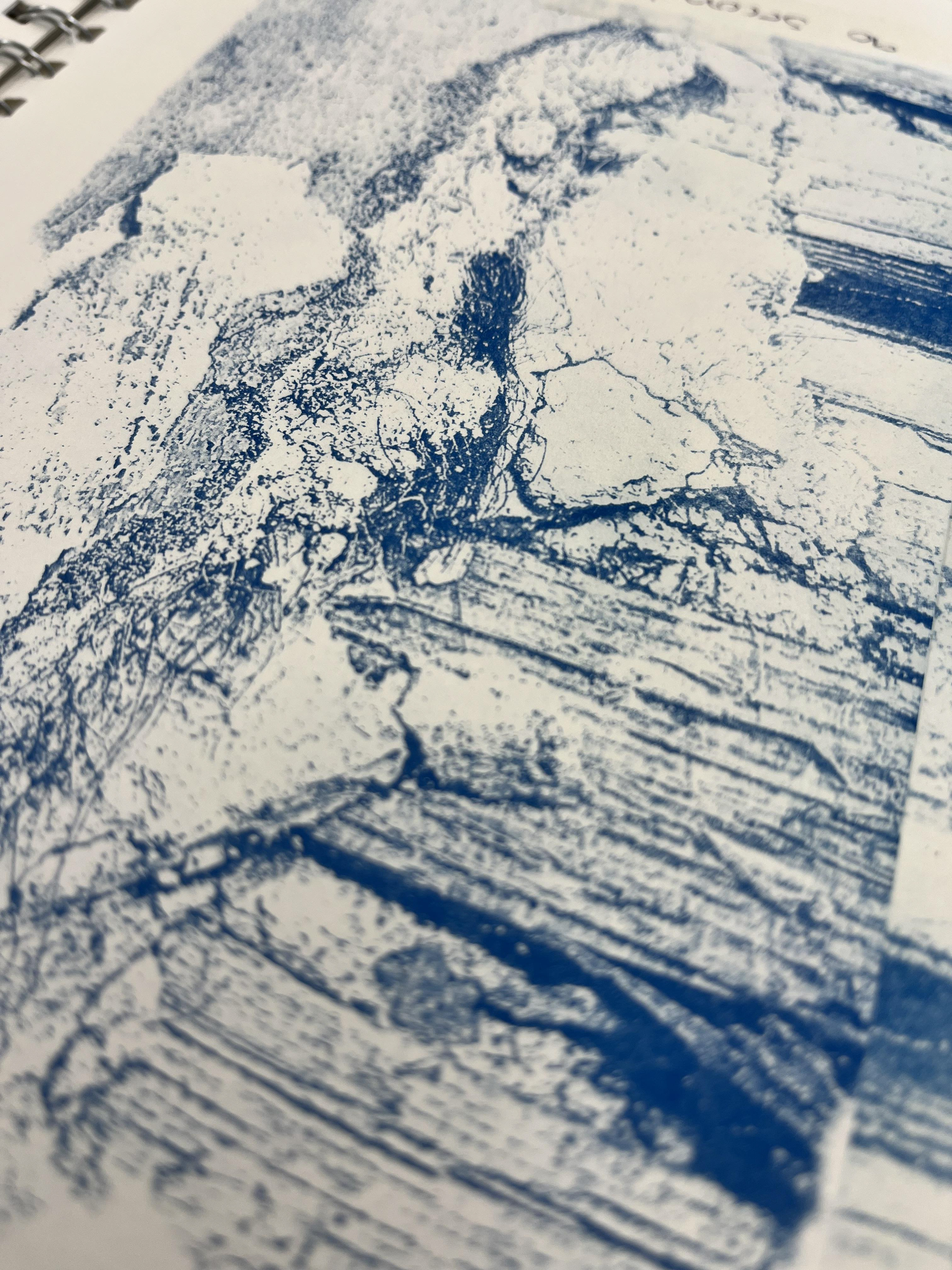 cyanotype on paper