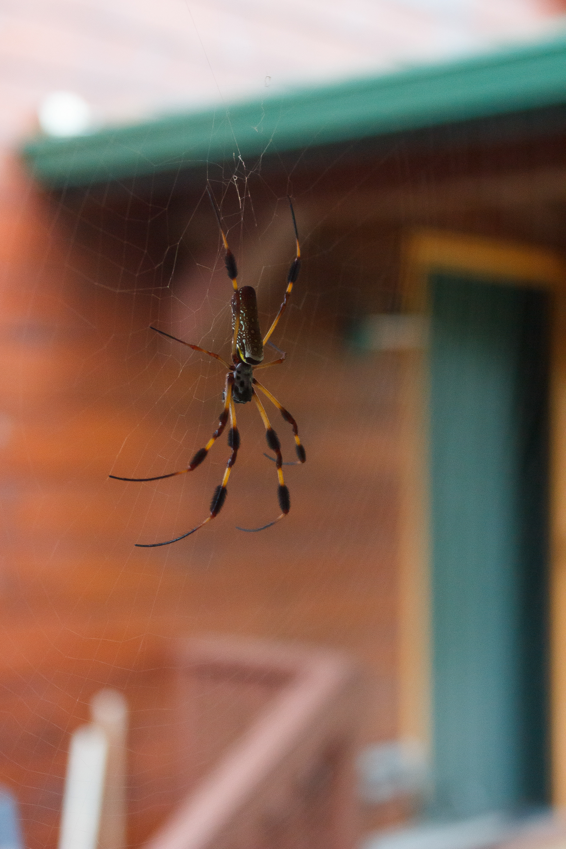 Weaving, October 2023