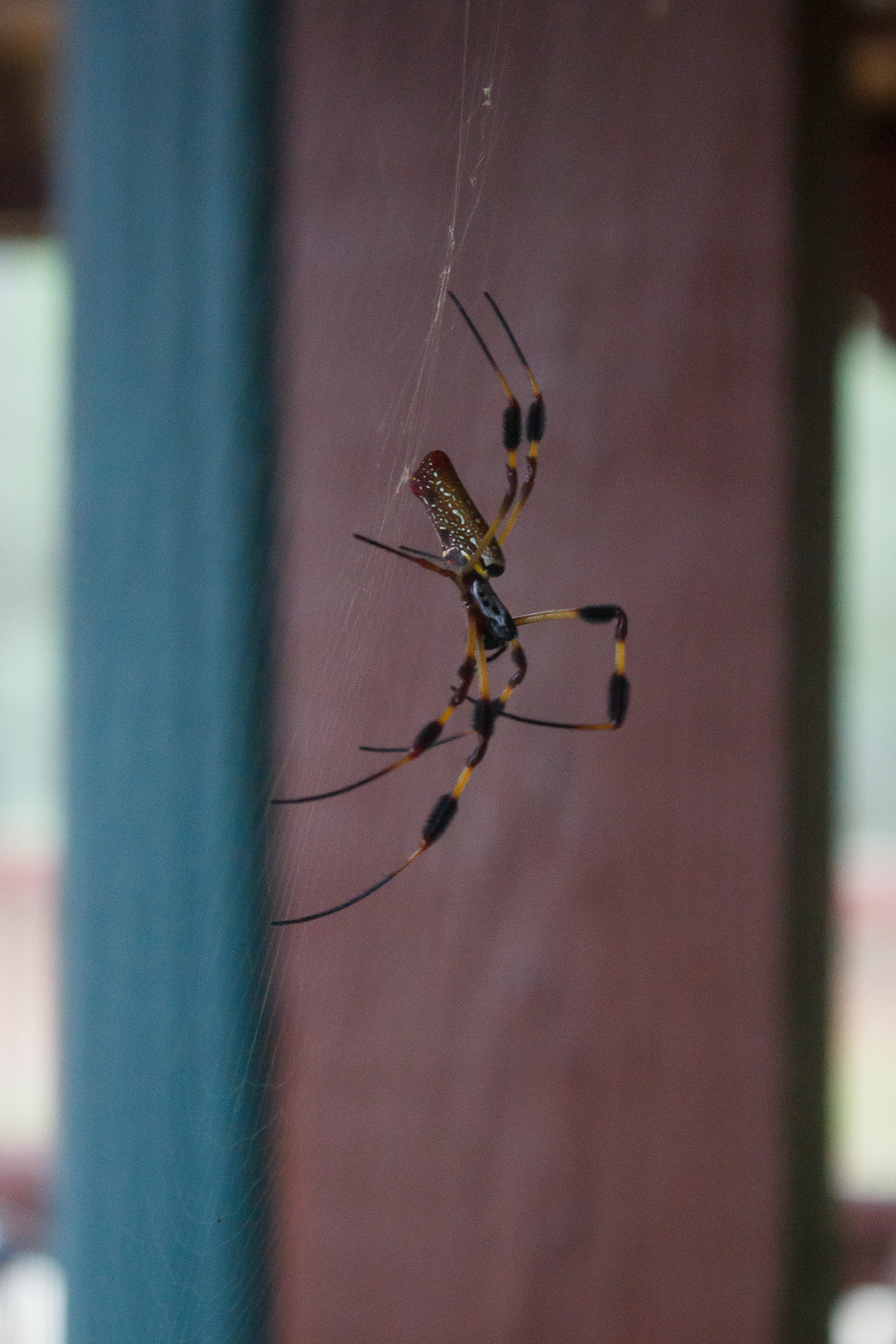 Weaving Two, October 2023