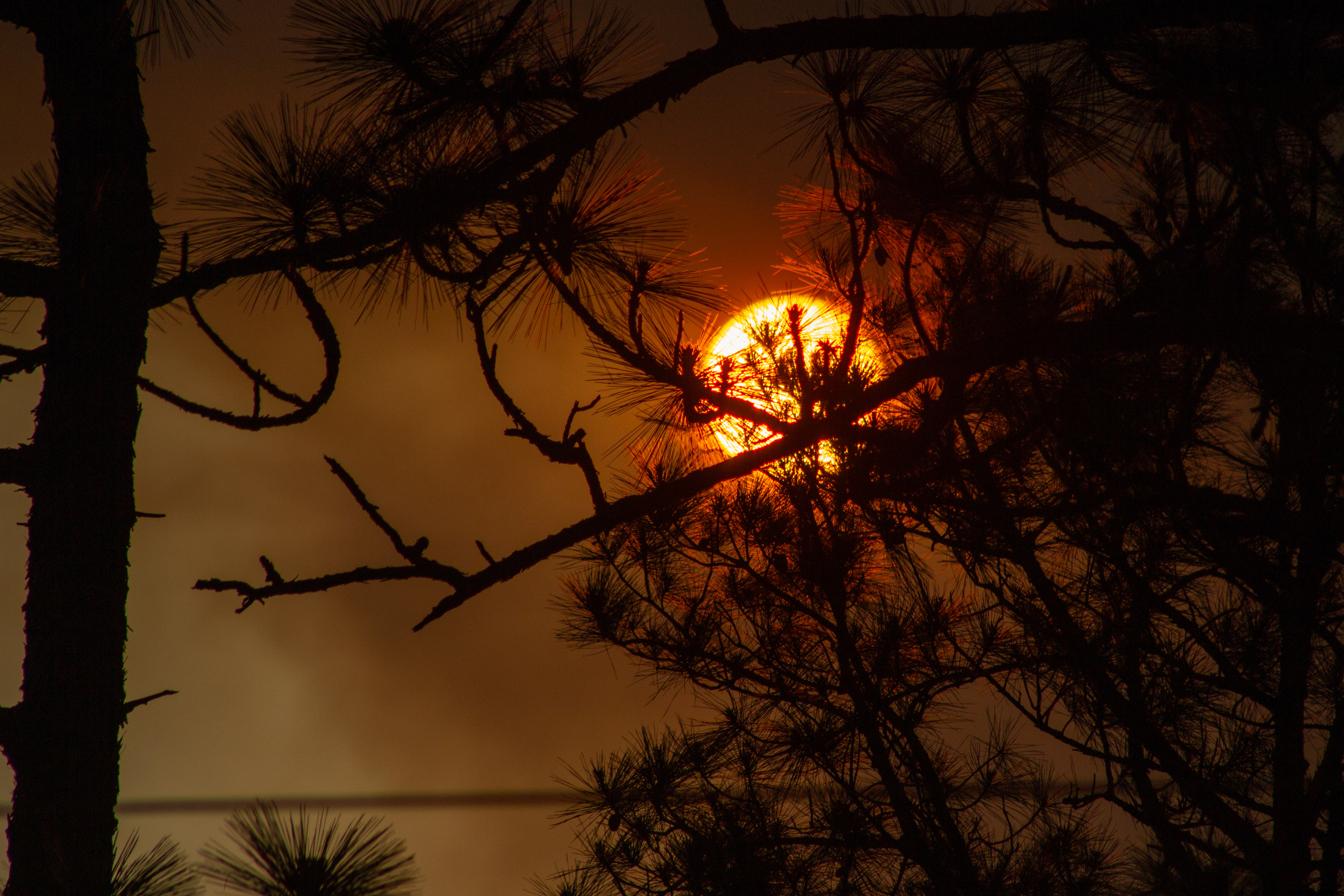 Ashes in the Sky, June 2023