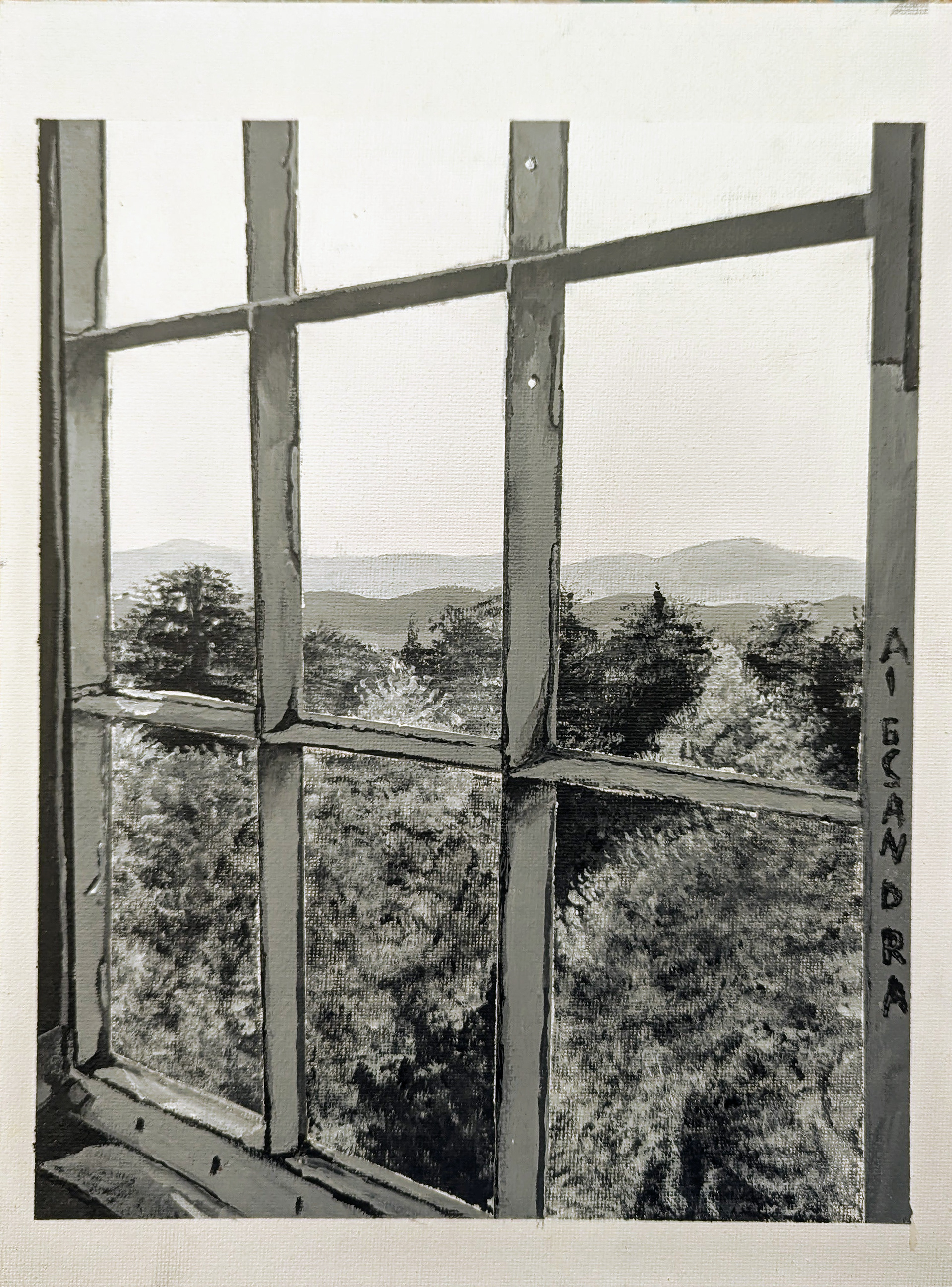 Nine Frames of Nature Triptych (Part 2), September 2024