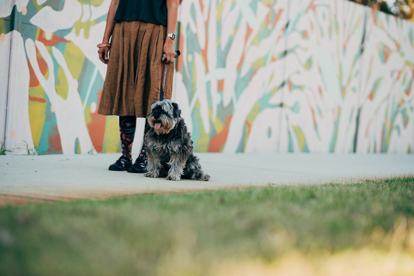 Andrew Frazer Mural for City of Melville
