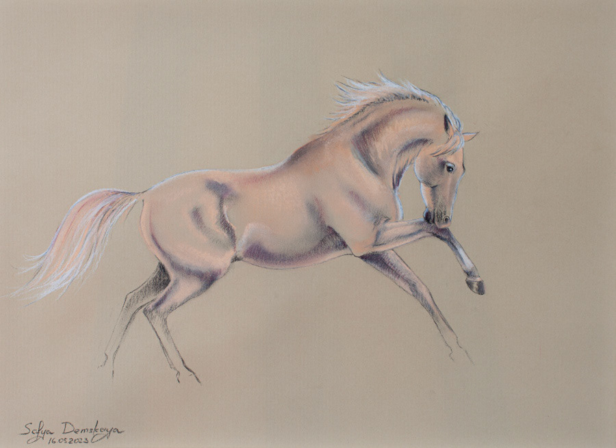 Lusitano, pastel, 30 x 42 cm, 2023