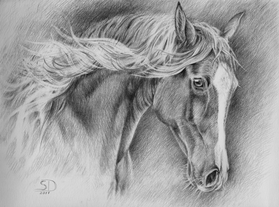 Juno, graphic, 20 x 30 cm, 2017